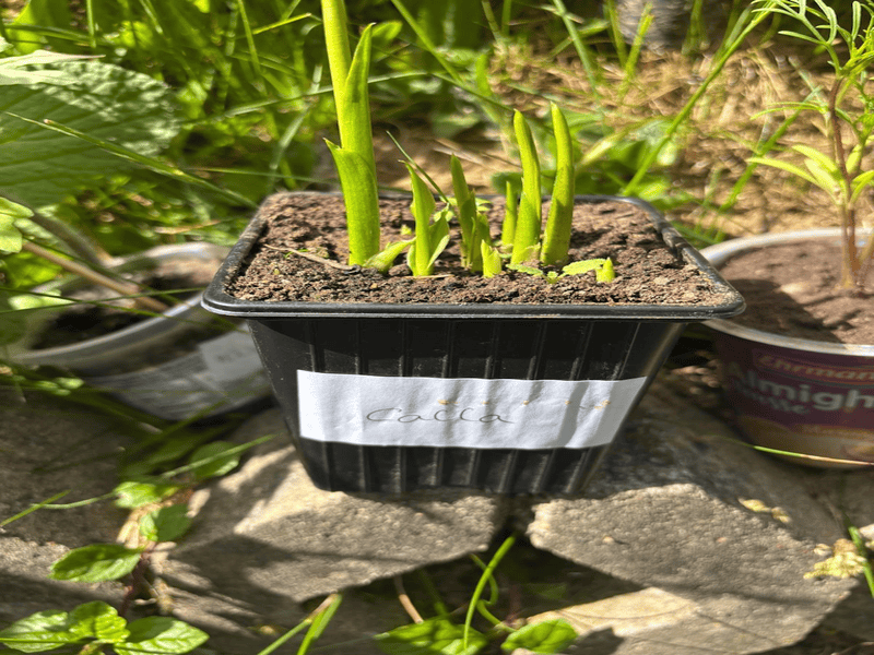 07.48.15